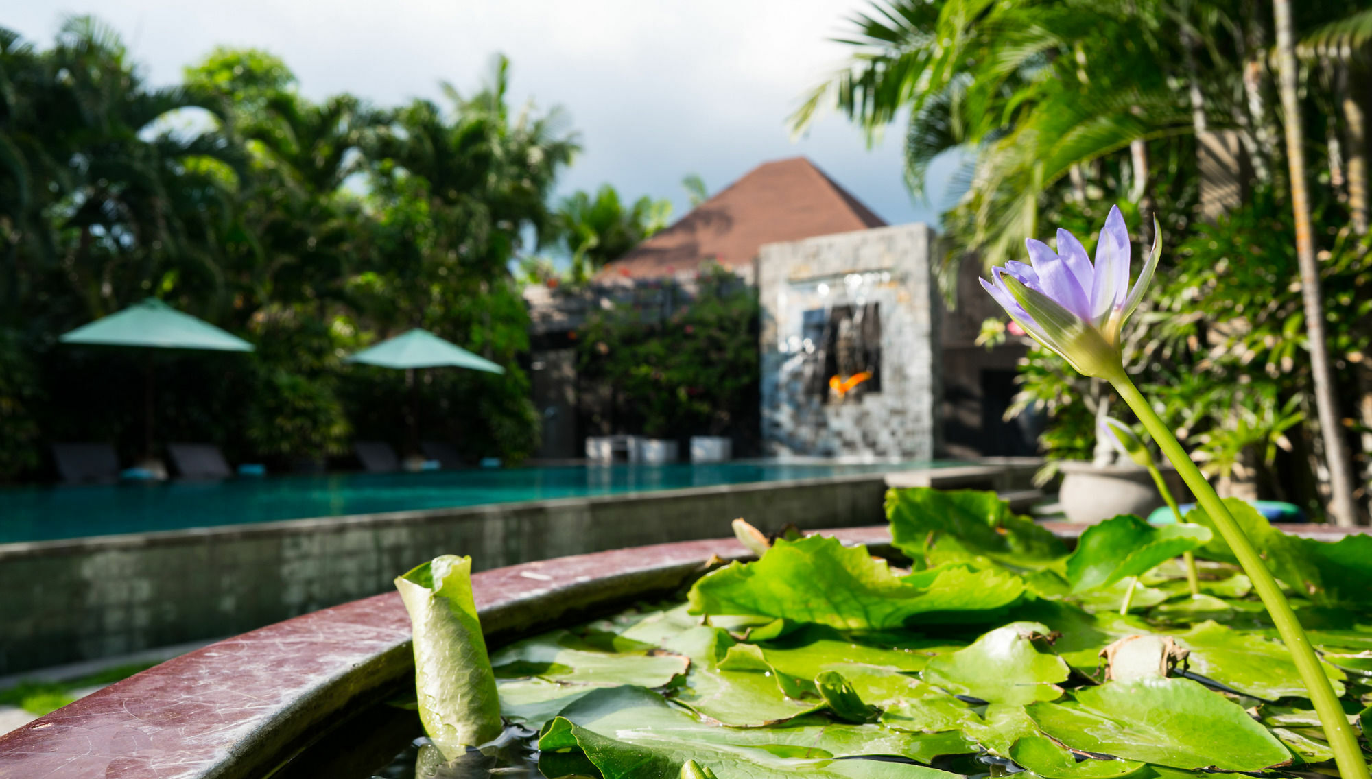Cicada Luxury Townhouses Seminyak Exteriör bild